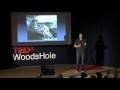 TEDxWoodsHole - Dan Ariely - Temptations and Self-Control
