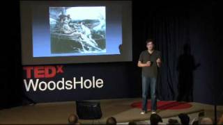 TEDxWoodsHole - Dan Ariely - Temptations and Self-Control