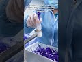 How Thousands of Syringes are Assembled Daily 🤯⏱️ #factorylife #manufacturing #medicalequipment