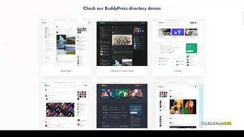 MetaFans - Community and Social Network BuddyPress Theme 15 Social Community Website Builder