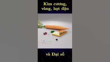 Kim cương, vàng, hạt đậu và Đại số #education #toanthuvi #maths