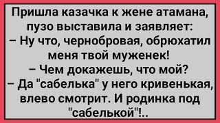 видео: Как Казачка к Жене Атамана Пришла! Сборник Свежих Смешных Анекдотов! картинка: Как Казачка к Жене Атамана Пришла! Сборник Свежих Смешных Анекдотов!