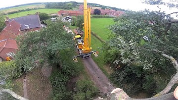 Crane Day! - Huge old oak tree removal by crane.
