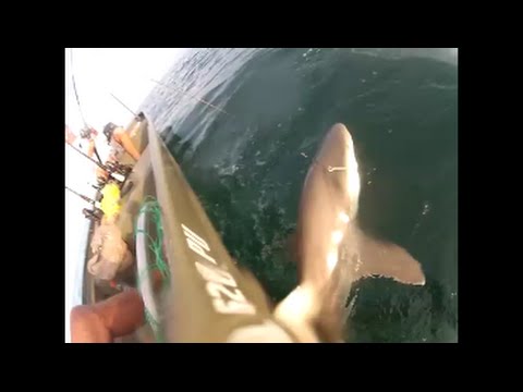 Offshore Shark Fishing in a 12 Foot Crestliner with a 3.5 Mercury