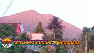 Keindahan Desa Sidokaton Gunung Tanggamus Jalan Tani Maju