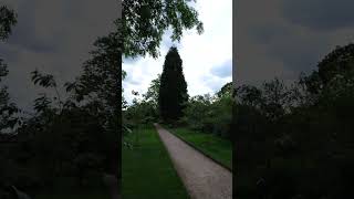 DSCF3266