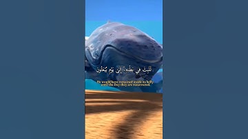 { فلَوْلَا أَنَّهُ كانَ مِنَ الْمُسَبِّحِين } || القارئ : أحمد النفيس