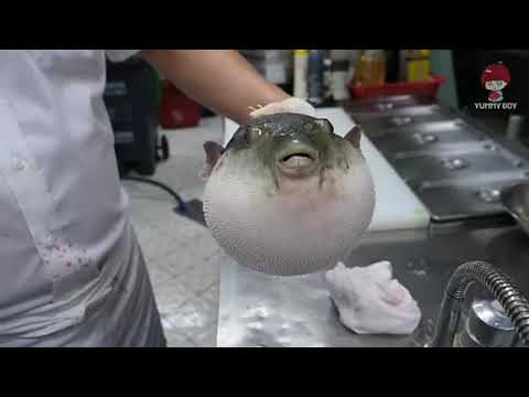 Videó: Élőben voltak a gömbhalak?