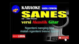 SANES Karaoke versi Akustik Gitar Nada COWOK