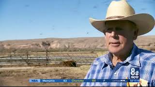 Cliven Bundy’s cattle still graze on federal land 5 years after standoff   2/2/19