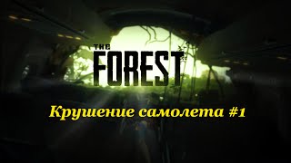 Играем в The Forest #1 - Крушение самолета! Играем в The Forest #1 - Крушение самолета!