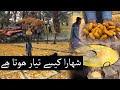 Shuhara Kese Tayar Hota Hai How Dates Are Made In Khairpur Sindh Khajoor Shuhara Kese Tayar Hota Hai How Dates Are Made In Khairpur Sindh Khajoor