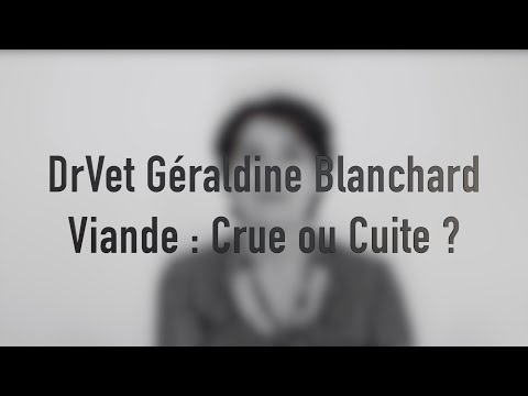 Vidéo: Les chiens peuvent-ils manger de la viande ?