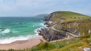 Irish driver- Bone Idle