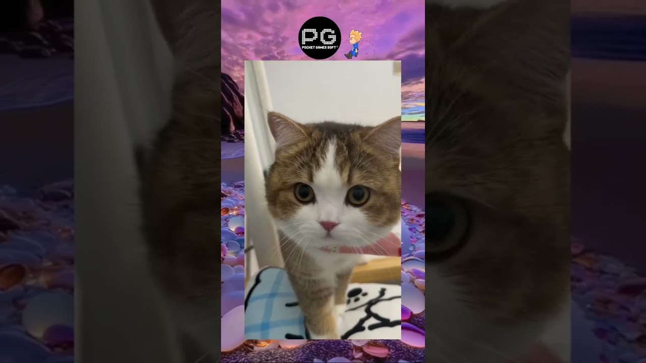 hình xăm racing boy 🐱🐱 Conmèo Dễthương Thúcưng Phổbiến Xuhướng PG pgsoft ViệtNam Việtnamvideo fyp