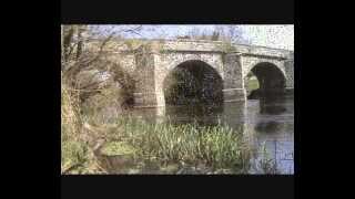 Scenes from Newcastle Woods, Ballymahon, County Longford @MikeBerminghamCreative