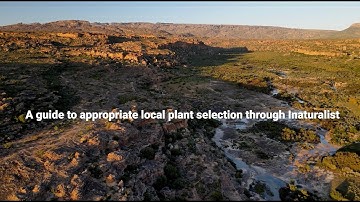 Unlock Local Plants for Restoration Projects with iNaturalist | A Guide for Practitioners