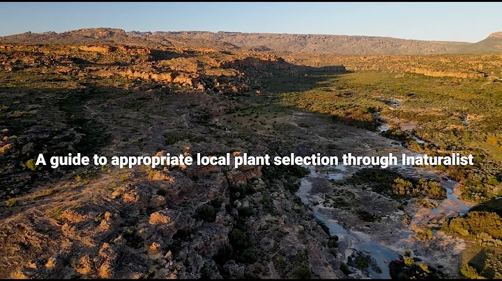Unlock Local Plants for Restoration Projects with iNaturalist | A Guide for Practitioners