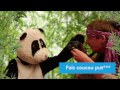 Mamie regarde le gros panda  infocus abroad 20172018