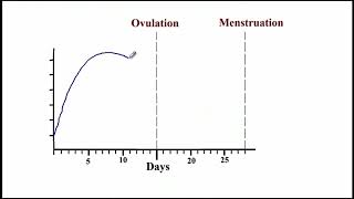 USMLE ACE Video 251: Hormonal Regulation of the Menstrual Cycle