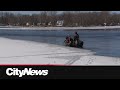 Search For 18 Year Old Who Fell Into Montreal S Rivière Des Prairies Search For 18 Year Old Who Fell Into Montreal S Rivière Des Prairies