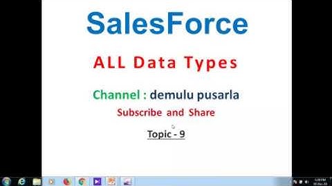 SalesForce Data Types in Telugu