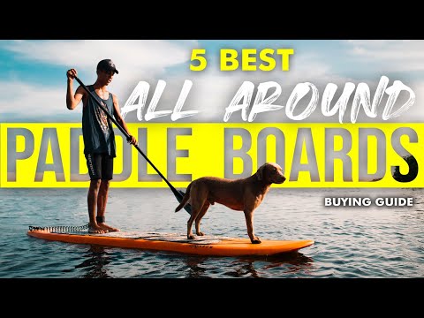 Video: Pup-paddleboards 150 Mailia Ansaita Rahaa Palvelukoirille