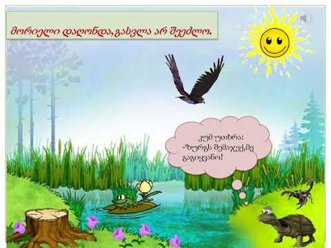 კუ და მორიელი