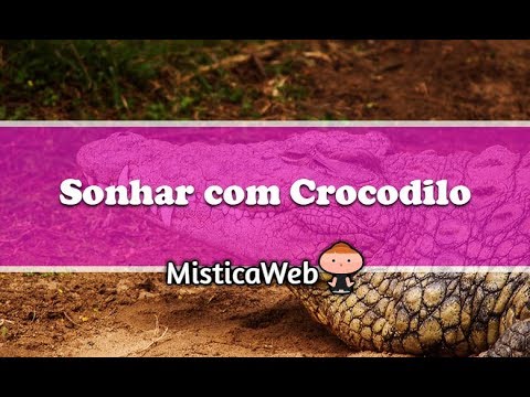 Vídeo: Por Que O Crocodilo Está Sonhando