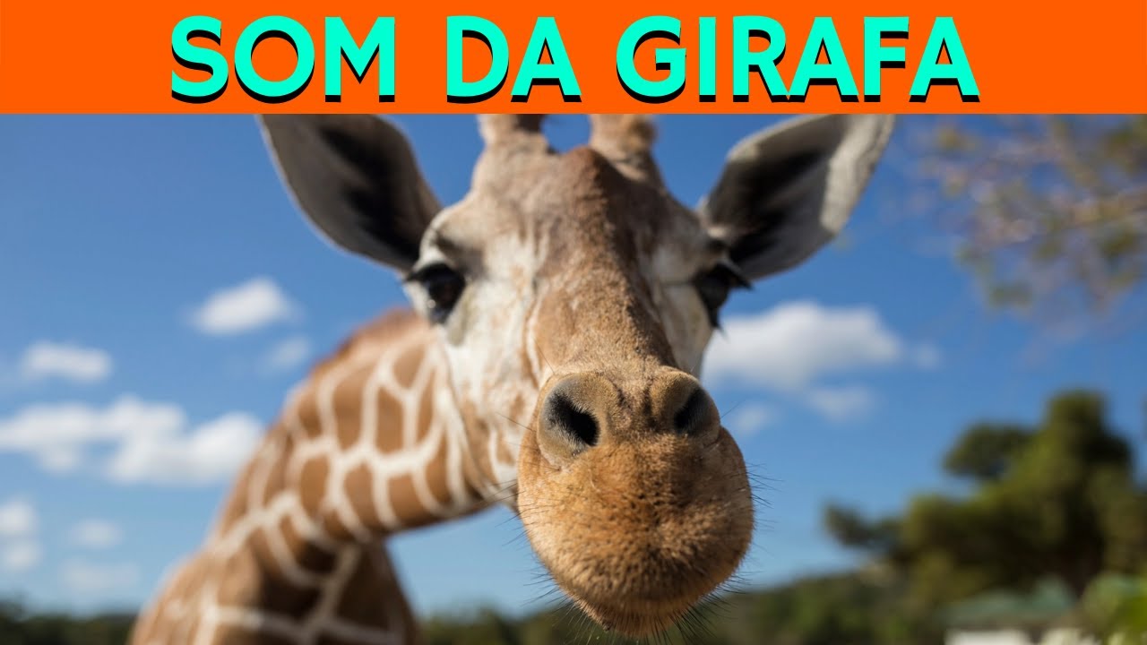 Som Da Girafa | Que Som A Girafa Faz? | Barulho De Girafa | Sons Dos ...