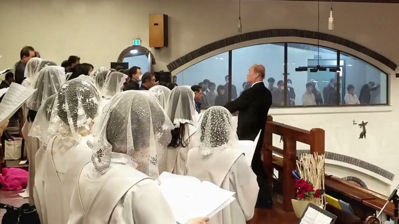 Agnus Dei 아뉴스데이 하이든 브레비스 미사곡Missa brevis No7 수성성당Gaudium et Spes성가대 지휘 김양수, Vn 김수지 Vc 김문영 Org 이현지