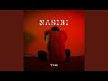 NASIBI