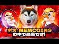 ボス: memcoins の中で最高です!