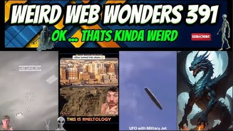 weird web wonders 391