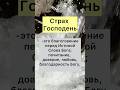 Источник Жизни