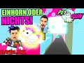 PET RUN RAGE RUNNER! WER MUSS DAS EINHORN ABGEBEN? | Roblox Deutsch