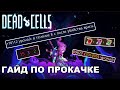 ПРОКАЧКА И ОРУЖИЕ В DEAD CELLS - КАК ДЕЛАТЬ ПРАВИЛЬНО?