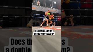 Boxer runs for his life