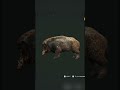 TAKING OUT MY 5TH GREAT ONE BOAR! | The Hunter Call of the Wild #deer #g1 #gaming #cotw
