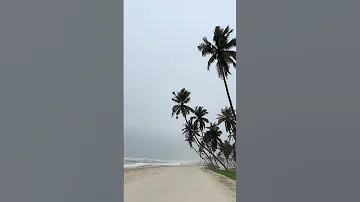 الحافة صلالة ماشي تعب بيدوم و الدايم الله الكريم OMAN Salalah 