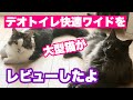 大型猫にオススメのデオトイレ快適ワイドレビュー後編#087