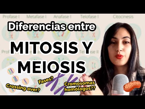 Vídeo: Quina és la comparació entre mitosi i meiosi?