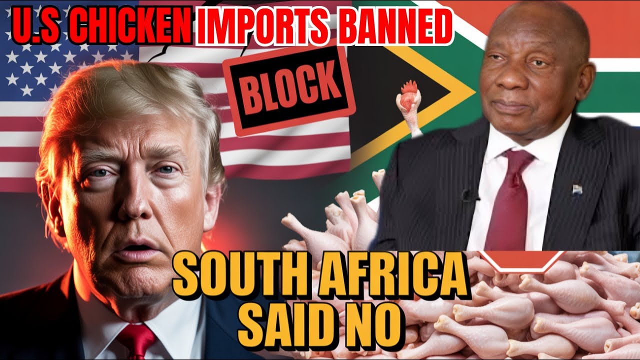 South Africa Just Barred U S  Chicken — America Loses $450 Million
