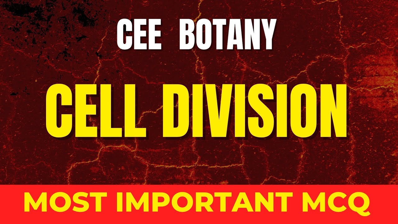 CELL DIVISION MOST IMPORTANT MCQ FOR CEE 2083 ( 1 MARK FIX )