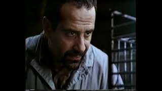 TRAILER paulie el loro bocazas
