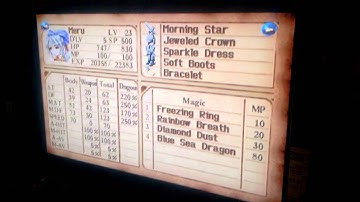 Legend of Dragoon (Dragoon Levels and Advice)