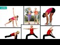 The Amazing Human Body Systems and Their Functions