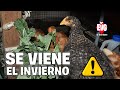 Preparando a mis Gallinas para el Invierno - CONSEJOS