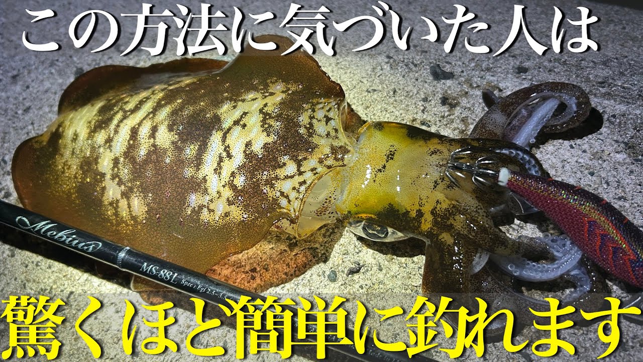 【悪用厳禁】エギングでイカが釣れまくる方法を発見しました。