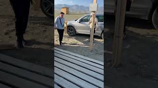 Алтай день 4. Ледники Актру. Курайские степи.